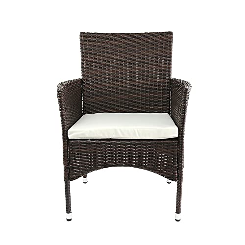 Amazon Brand - Ravenna Home Set of 2 Contemporary Outdoor Patio Dining Chairs with Cushion, Weather-Resistant PE Rattan Wicker - Brown