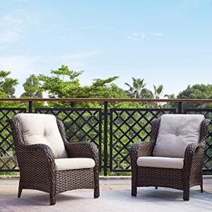 Rilyson Outdoor Wicker Patio Chairs Set of 2: Rattan Dining Chairs Porch Chairs Outdoor Club Chairs with high Back and Deep Seating (Brown/Beige)