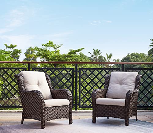 Rilyson Outdoor Wicker Patio Chairs Set of 2: Rattan Dining Chairs Porch Chairs Outdoor Club Chairs with high Back and Deep Seating (Brown/Beige)