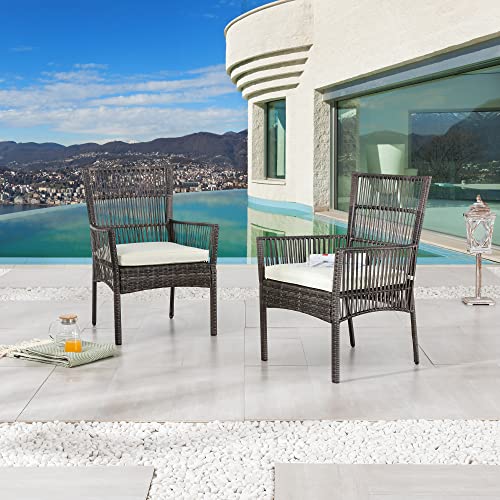 LOKATSE HOME 2 Pieces Outdoor Wicker Chair Metal Dining Armchairs with Cushion, Beige