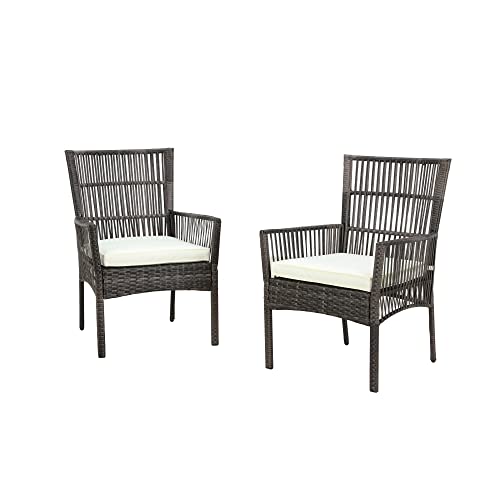 LOKATSE HOME 2 Pieces Outdoor Wicker Chair Metal Dining Armchairs with Cushion, Beige