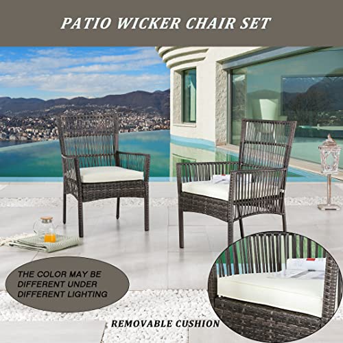 LOKATSE HOME 2 Pieces Outdoor Wicker Chair Metal Dining Armchairs with Cushion, Beige