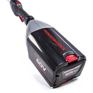 POWERWORKS 60V 20-Inch Cordless Brushed Pole Hedge Trimmer, 2Ah Battery and Charger Included