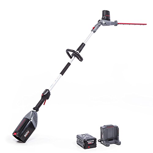 POWERWORKS 60V 20-Inch Cordless Brushed Pole Hedge Trimmer, 2Ah Battery and Charger Included