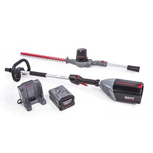 POWERWORKS 60V 20-Inch Cordless Brushed Pole Hedge Trimmer, 2Ah Battery and Charger Included