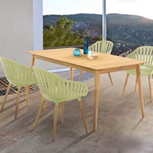 Armen Living Nassau Outdoor Patio Arm Dining Chairs, 17" Seat Height, Set of 2, Eucalyptus and Sage Green