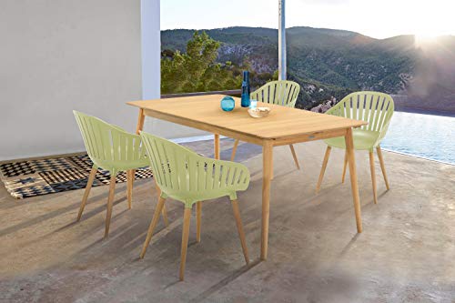 Armen Living Nassau Outdoor Patio Arm Dining Chairs, 17" Seat Height, Set of 2, Eucalyptus and Sage Green