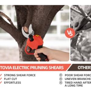 Cordless Pruning Shears, Electric Pruner with 2 Pack 21V Lithium Battery, SK5 Blades, 1.2 Inch Cutting Diameter (21V pruner)