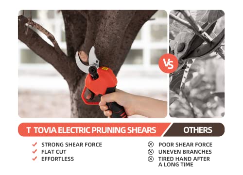 Cordless Pruning Shears, Electric Pruner with 2 Pack 21V Lithium Battery, SK5 Blades, 1.2 Inch Cutting Diameter (21V pruner)