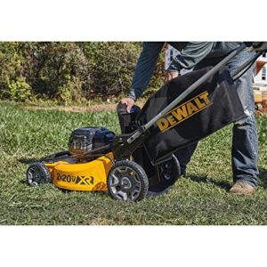 DEWALT 20V MAX Lawn Mower, 3-in-1, 2 Batteries (DCMW220P2)