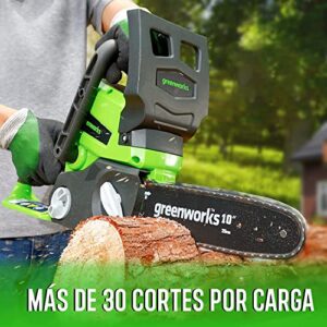 Greenworks 24V 10" Chainsaw, 2.0Ah USB Battery and Charger