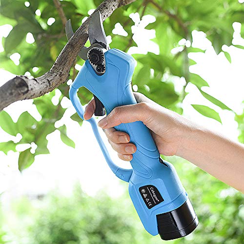 Electric Pruning Shears, 1 Inch Cordless Pruner, 25mm Power Pruner, 2 x 2Ah Lithium Batteries, Battery-Powered Pruning Shears for Tree Branch, 6-8 Working Hours