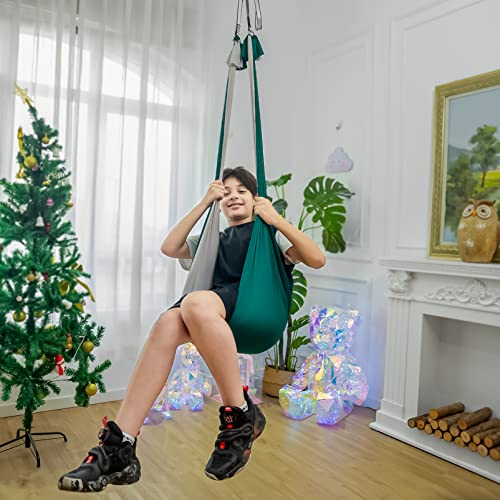 Sensory Swing for Kids Indoor Outdoor, Therapy Autism Joy Ceiling Swing Holds Up to 310 Lbs with Dual Color Blocks Kids Hammock Chair (Green + Gray)