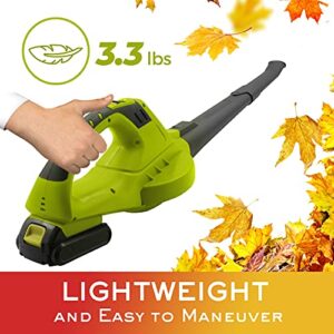 Mueller UltraStorm Cordless Leaf Blower, 20 V Powerful Motor, Electric Leaf Blower for Lawn Care, Battery Powered Leaf Blower Lightweight for Snow Blowing (Battery & Charger Included)