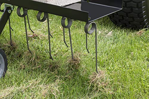 Agri-Fab 45-0295 48-Inch Lawn Dethatcher, Medium, Black