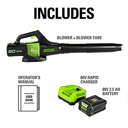 Greenworks Pro 80V (145 MPH / 580 CFM) Brushless Cordless Axial Leaf Blower, 2.5Ah Battery and Charger Included BL80L2510