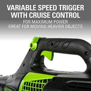 Greenworks Pro 80V (145 MPH / 580 CFM) Brushless Cordless Axial Leaf Blower, 2.5Ah Battery and Charger Included BL80L2510
