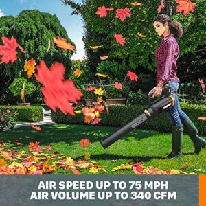 WORX 20V Turbine Cordless Two-Speed Leaf Blower Power Share - WG547 (Battery & Charger Included)