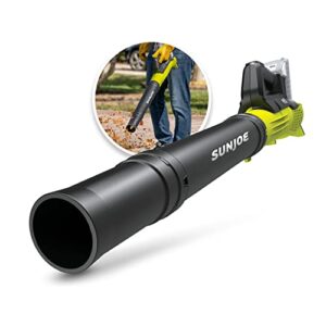 Sun Joe 24V-TB-LTE 24-Volt iON+ Jet Blower Cordless Compact Turbine Leaf Blower 100-MPH, Kit (w/2.0-Ah Battery + Quick Charger)