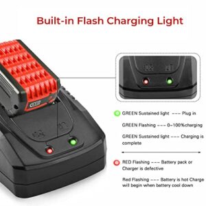 2Pack 5.0Ah BAT609 Battery Replacement for Bosch 18V Battery + 14.4V-18V Lithium Battery Charger BAT618 BAT609 BAT622 BAT609G BAT618G BAT619 BAT619G BAT610G Cordless Power Tool Battery