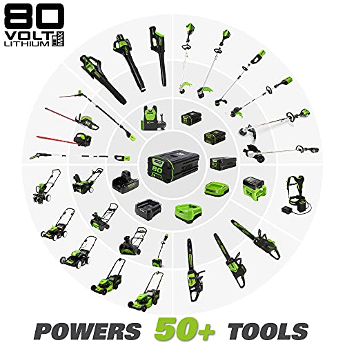 Greenworks Pro 80V (125 MPH / 500 CFM) Cordless Axial Leaf Blower, 2.0Ah Battery and Charger Included GBL80300