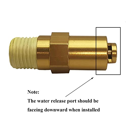 Zeiboat 7101359 Thermal Relief Valve for Gas Powered Pressure Washer Pumps, 1/4 Inch NPT