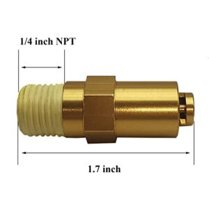 Zeiboat 7101359 Thermal Relief Valve for Gas Powered Pressure Washer Pumps, 1/4 Inch NPT