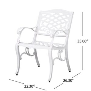 Christopher Knight Home Brody Outdoor White Cast Aluminum Arm Chair (Set of 2)