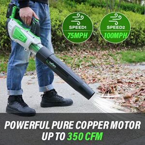 Leaf Blower Cordless Battery and Charger SOYUS 20V Blowers for Lawn Care 350CFM Leaf Blower Battery Operated for Leaf Blowing Debris Dust Cleaning Snow Blower 2PCS 2.0Ah Batteries Included