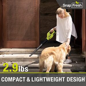 Cordless Leaf Blower - SnapFresh 20V Cordless Leaf Blower with 2.0Ah Li-ion Battery & Fast Charger, 130 MPH 140CFM Electric Leaf Blower Battery Powered Lightweight Sweeper for Sidewalk Hard Surfaces