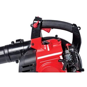 CRAFTSMAN Gas Powered Leaf Blower and Vacuum, Handheld Gas Blower, 205MPH, 27cc, 2-Cycle (BV245)