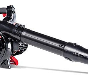 CRAFTSMAN Gas Powered Leaf Blower and Vacuum, Handheld Gas Blower, 205MPH, 27cc, 2-Cycle (BV245)