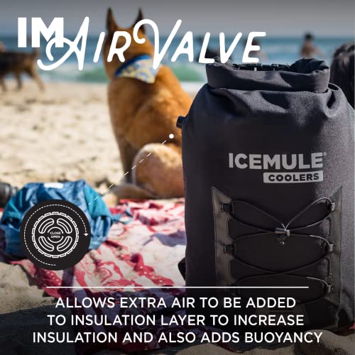 ICEMULE Pro Large Collapsible Backpack Cooler – Hands Free, 100% Waterproof, 24+ Hours Cooling, Soft Sided Cooler for Hiking, Camping, Fishing & Picnics, 23 Liter, Fits 18 Cans + Ice, Grey