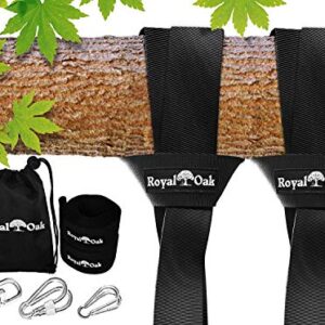 Easy Hang Tree Swing Straps- Holds 2200lbs. - Heavy Duty Carabiner and Spinner - Perfect for Tire and Saucer Swings, Waterproof - Easy Picture Instructions - Carry Bag Included! (12 Feet Double)