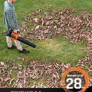 FIILPOW 20V 450CFM Cordless Leaf Blower, Variable Speed & Turbo Mode and Lock Dial, Handheld Brushless Blower with 4.0Ah Battery & Charger, Lightweight for Lawn Care/Yard Cleaning/Jobsit