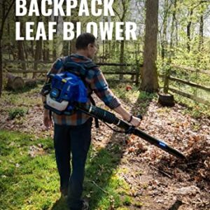 WILD BADGER POWER Leaf Blower Backpack,43cc Gas Powered Cordless 2-Cycle Engine for Lawn Care, 650CFM 152MPH Strong Air Flow for Leaf, Sand, Gravel and Snow,Light Weight 17.4 lbs