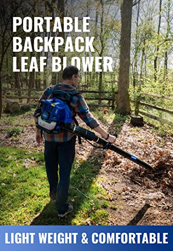 WILD BADGER POWER Leaf Blower Backpack,43cc Gas Powered Cordless 2-Cycle Engine for Lawn Care, 650CFM 152MPH Strong Air Flow for Leaf, Sand, Gravel and Snow,Light Weight 17.4 lbs