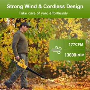 OMOTE Cordless Leaf Blower, 20V 2.0Ah Battery and Charger Included, Low Noise, Lightweight Leaf Blower Battery-Operated with One Button Control, Air Blowers for Lawn Care, Leaves and Snow Blowing