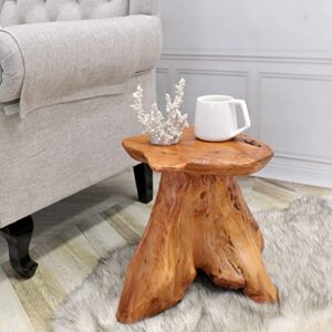 Warmaxx Cedar Natural Shape Tree Stump Stool 13.5"x12"x14"H Solid Wood End Table Rustic Plant Stand Live Edge Coffee Table for Living Room Bedroom Patio Accent Side Table Outdoor Garden Sit Foot Stool