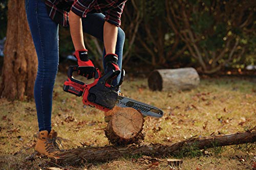 CRAFTSMAN V20* Cordless Chainsaw, 12-Inch (CMCCS620M1)