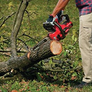 CRAFTSMAN V20* Cordless Chainsaw, 12-Inch (CMCCS620M1)