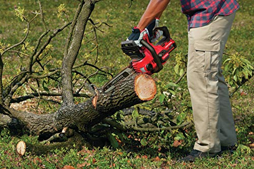 CRAFTSMAN V20* Cordless Chainsaw, 12-Inch (CMCCS620M1)