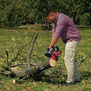 CRAFTSMAN V20* Cordless Chainsaw, 12-Inch (CMCCS620M1)