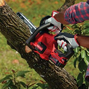 CRAFTSMAN V20* Cordless Chainsaw, 12-Inch (CMCCS620M1)