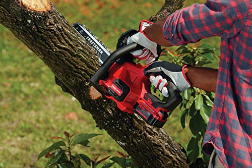 CRAFTSMAN V20* Cordless Chainsaw, 12-Inch (CMCCS620M1)