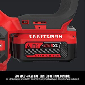 CRAFTSMAN V20* Cordless Chainsaw, 12-Inch (CMCCS620M1)