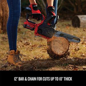 CRAFTSMAN V20* Cordless Chainsaw, 12-Inch (CMCCS620M1)