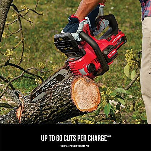 CRAFTSMAN V20* Cordless Chainsaw, 12-Inch (CMCCS620M1)