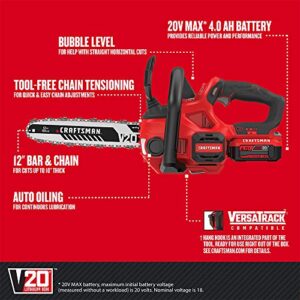 CRAFTSMAN V20* Cordless Chainsaw, 12-Inch (CMCCS620M1)