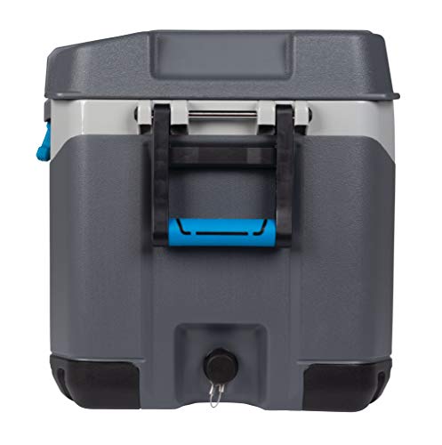 Igloo BMX 72 Quart Cooler with Cool Riser Technology, Fish Ruler, and Tie-Down Points - 18.70 Pounds - Carbonite Gray and Blue